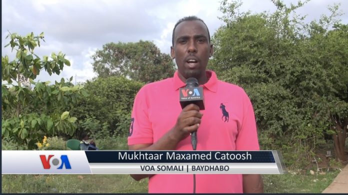 VOA Somali correspondent in Baidoa. | Photo credit: screen grab from Youtube